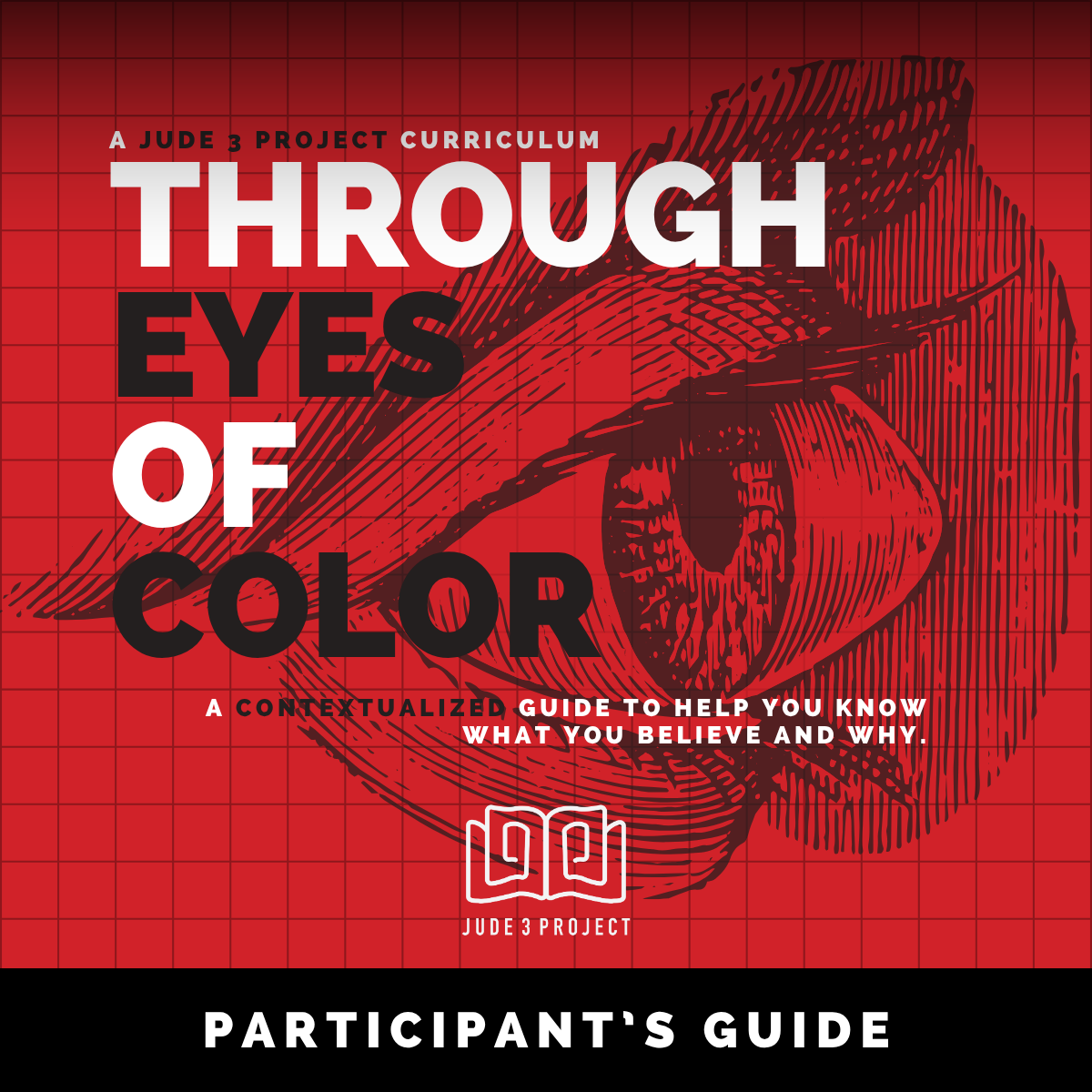 Through Eyes of Color: Participant's Guide